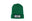Green comfy beanie with $100 logo on front